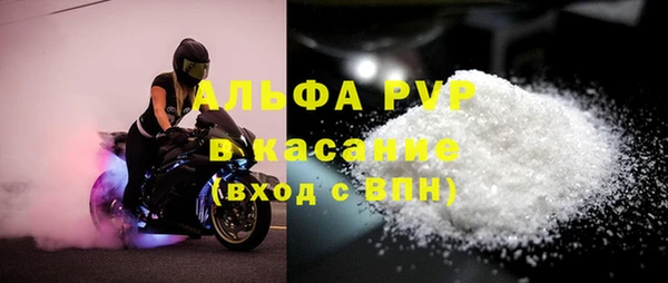 spice Богданович