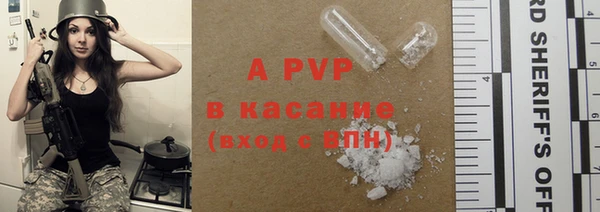 spice Богданович