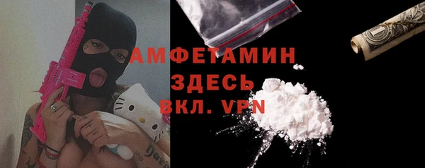 spice Богданович