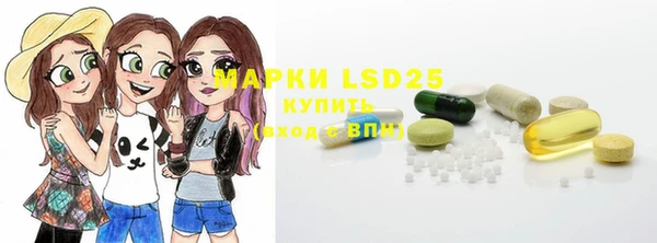 spice Богданович
