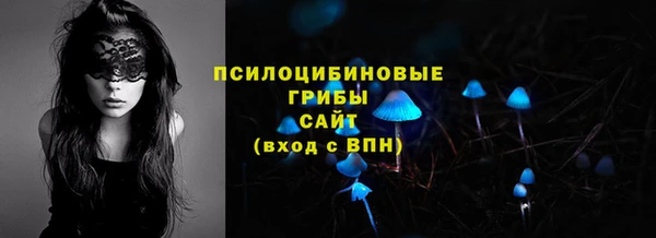 spice Богданович