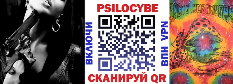 OMG tor  Болгар  Псилоцибиновые грибы Psilocybe  закладки 